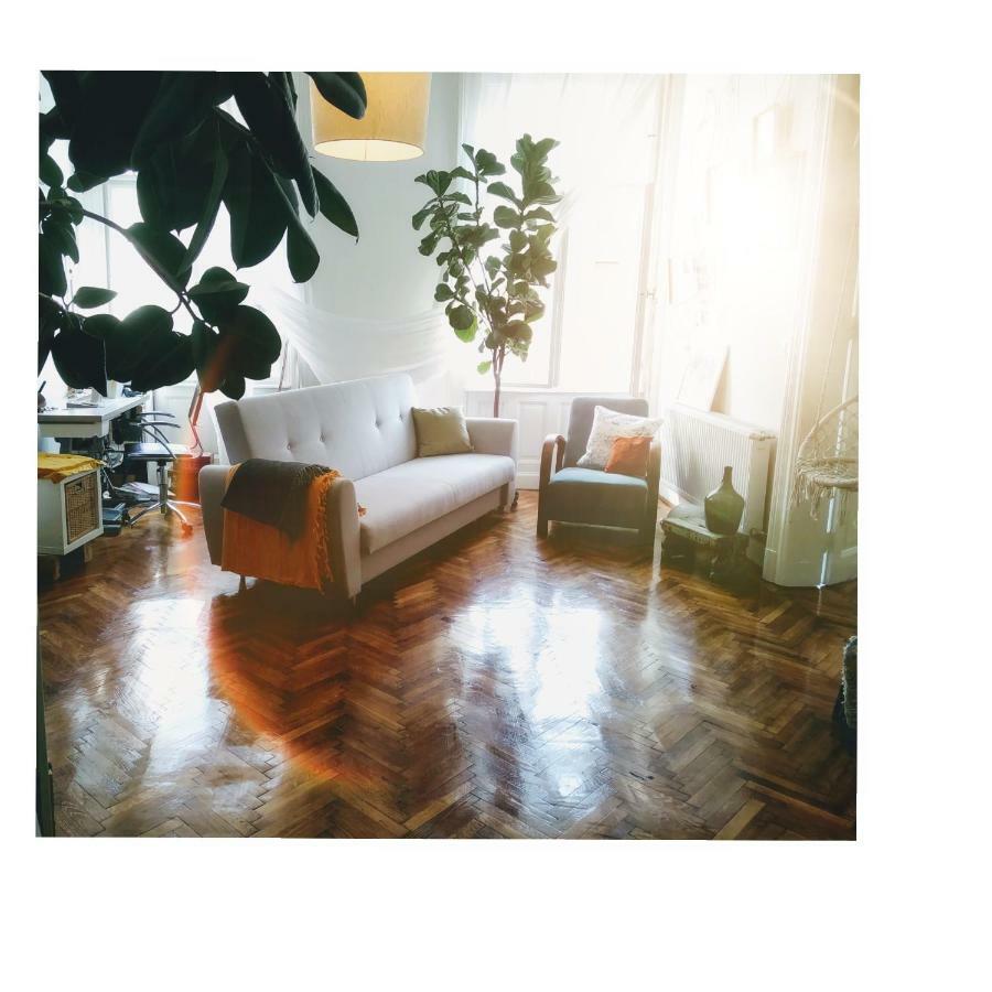 Jolie Apartment In Historical Center Budapest Bagian luar foto