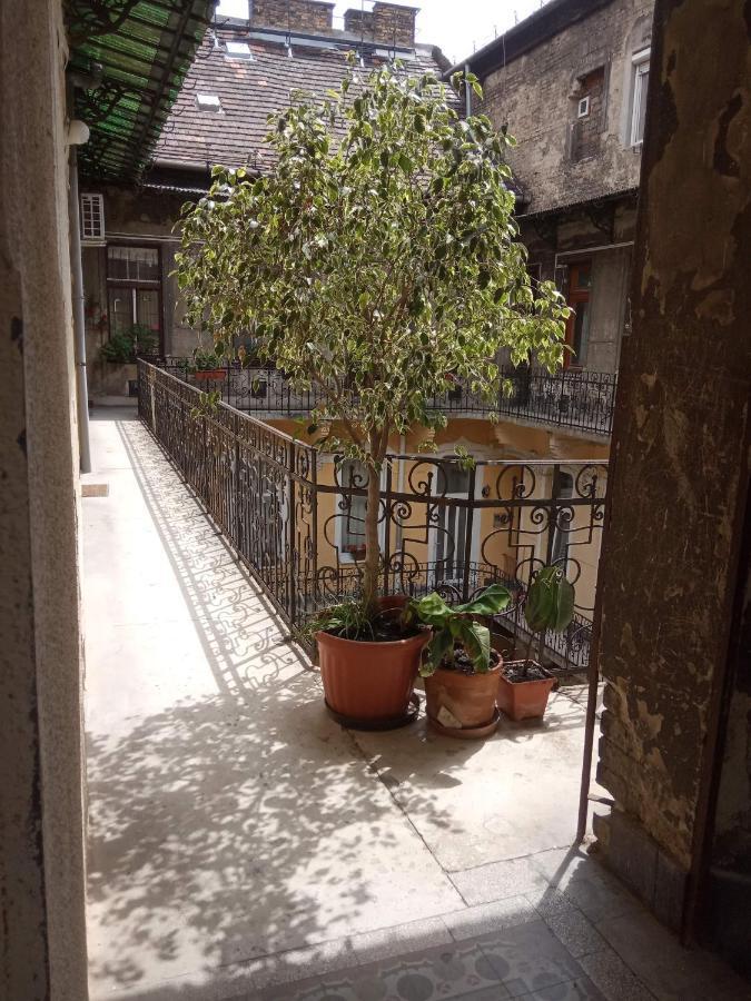 Jolie Apartment In Historical Center Budapest Bagian luar foto