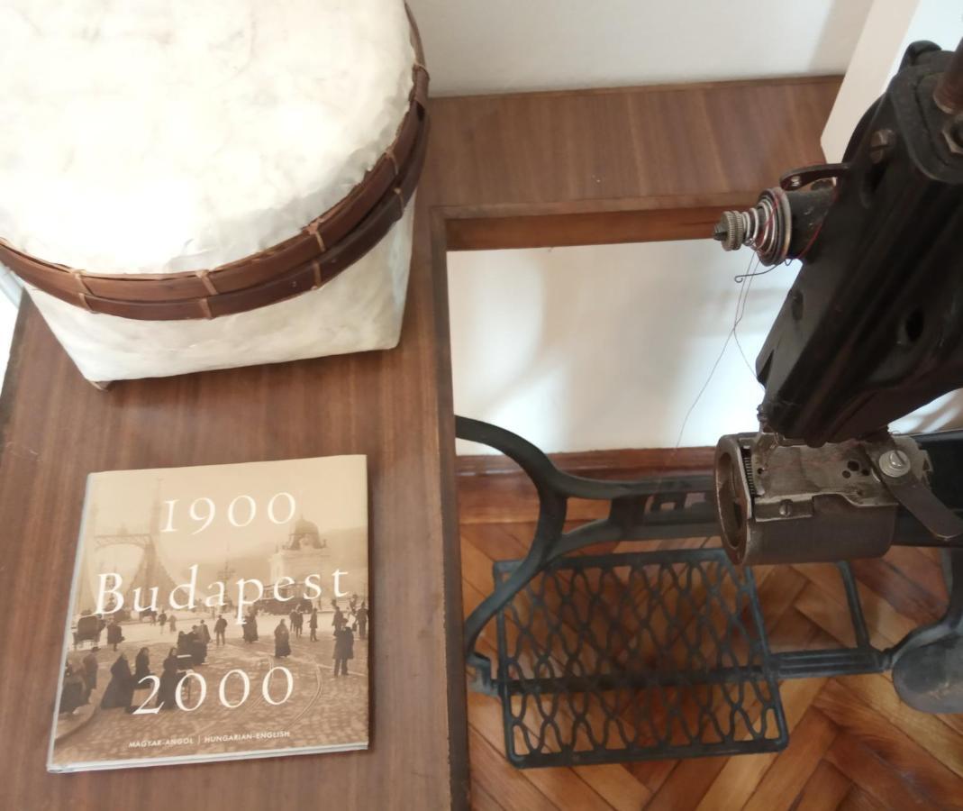 Jolie Apartment In Historical Center Budapest Bagian luar foto